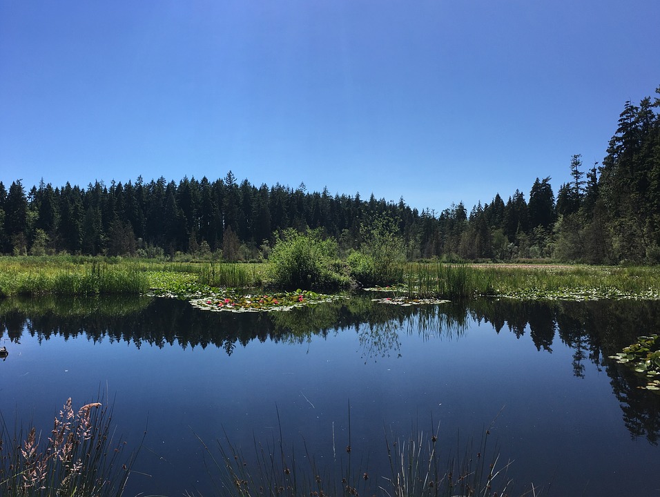 Stanley Park: maior parque do Canadá